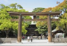 Vẻ đẹp của đền Meiji Jingu - ngôi đền cổ linh thiêng tại Nhật Bản