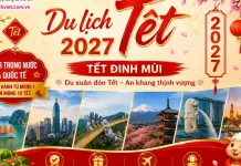 Du lịch Tết 2027: Nên đặt Tour Tết Đinh Mùi 2027 từ khi nào để vừa tiết kiệm vừa có lịch đẹp?